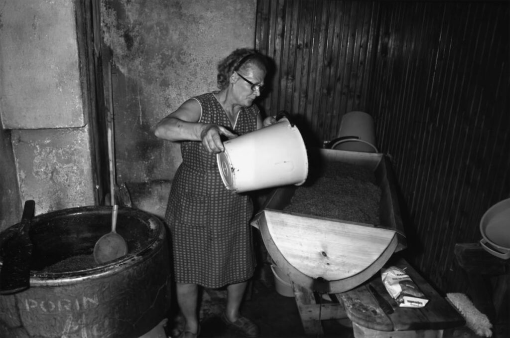 Nainen valmistaa sahtia saunassa, hänellä on kädessä muovisanko ja edessään sahtikuurna. Kuva on mustavalkoinen.